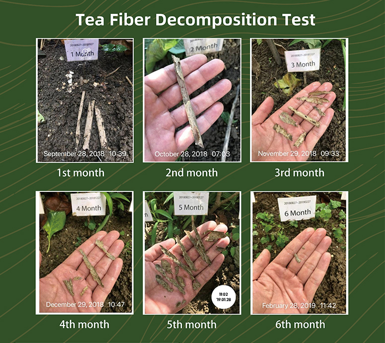 Teicneolaíocht Buletedan
