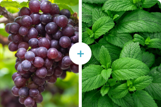 Teicneolaíocht Buletedan