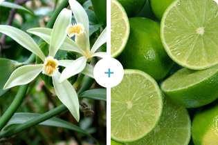 Teicneolaíocht Buletedan