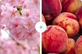 Teicneolaíocht Buletedan