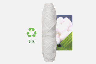 Teicneolaíocht Buletedan